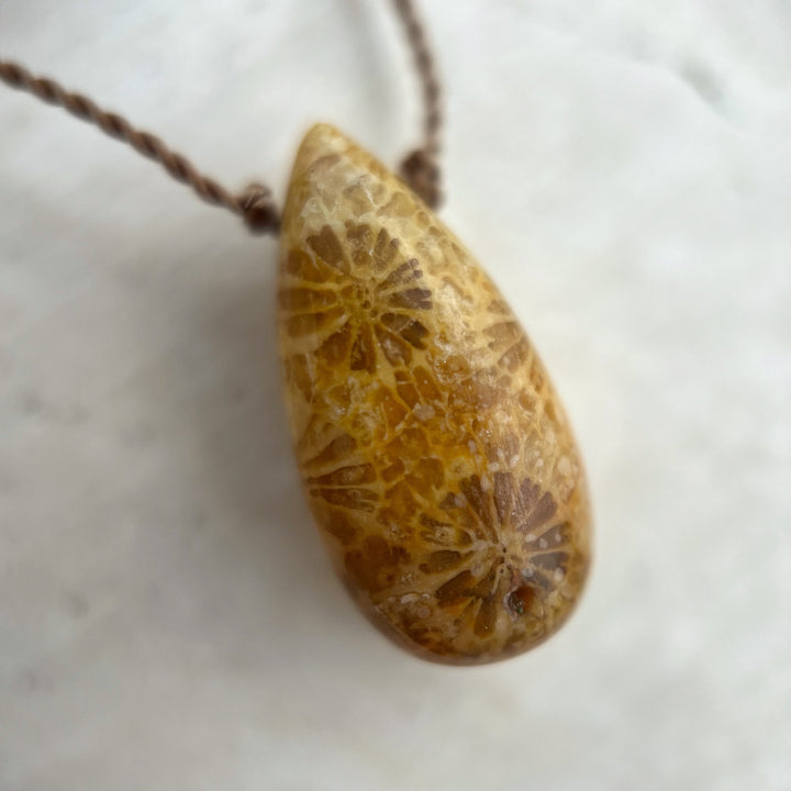 Fossilized Coral Cord Necklace