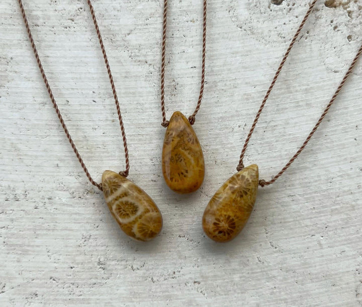 Fossilized Coral Cord Necklace