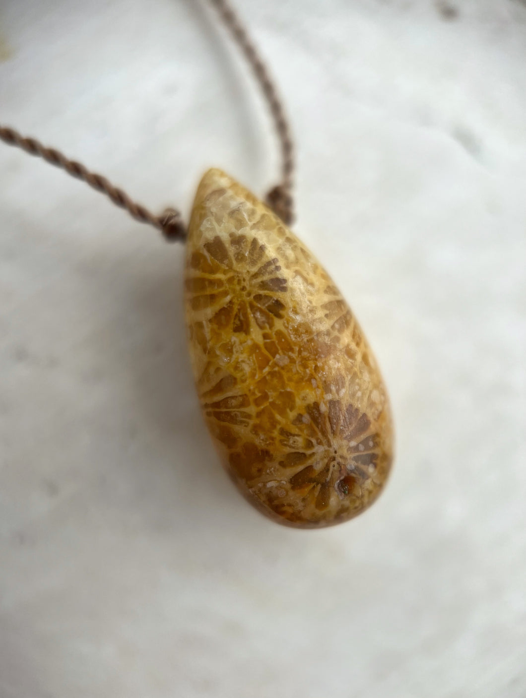 Fossilized Coral Cord Necklace