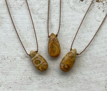 Load image into Gallery viewer, Fossilized Coral Cord Necklace