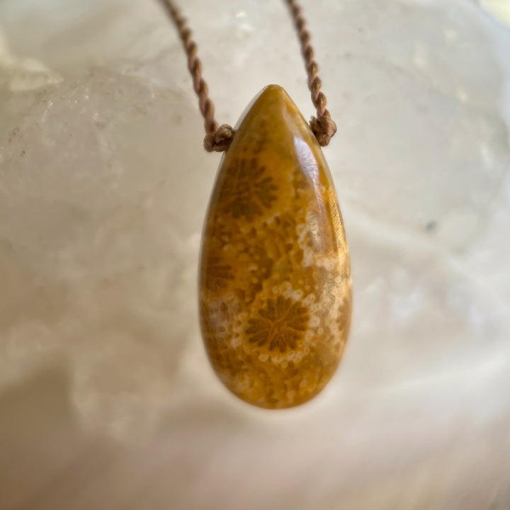 Fossilized Coral Cord Necklace